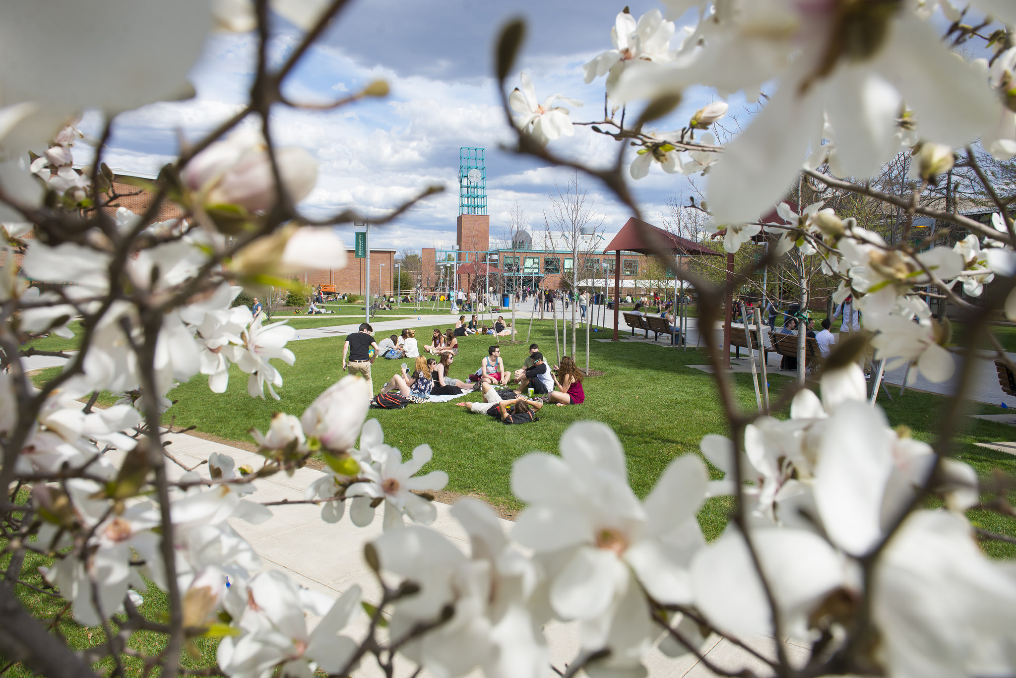Binghamton University America East Academic Consortium