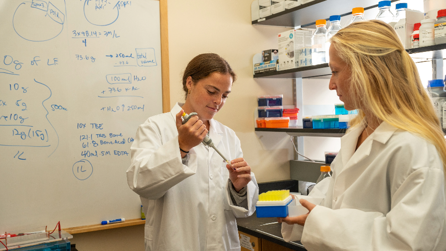 two students are contributing to two ongoing melanoma-related research projects.